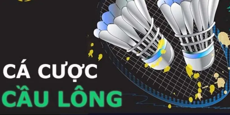 Cách Chơi Cá Cược Cầu Lông QH88: Hướng Dẫn Toàn Diện