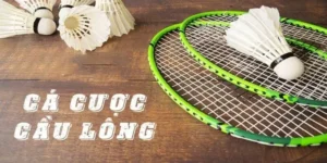 Cách Chơi Cá Cược Cầu Lông QH88: Hướng Dẫn Toàn Diện