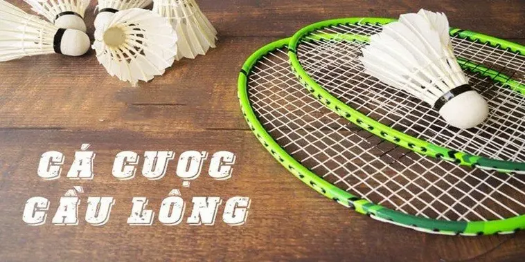Cách Chơi Cá Cược Cầu Lông QH88: Hướng Dẫn Toàn Diện