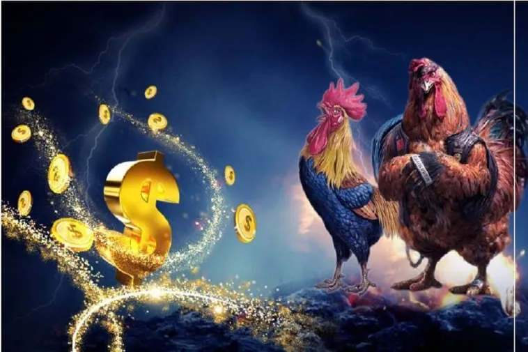 Đá Gà QH88: Điểm Đến Giải Trí Hấp Dẫn Cho Người Đam Mê