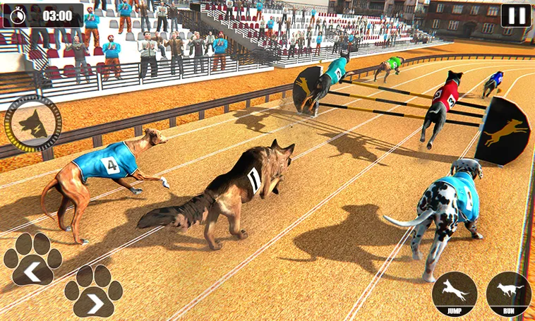 Hướng Dẫn Chơi Game Nhanh Đua Chó Tại QH88 Thành Công 2 Hướng Dẫn Chơi Game Nhanh Đua Chó Tại QH88 Thành Công