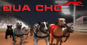 Hướng Dẫn Chơi Game Nhanh Đua Chó Tại QH88 Thành Công